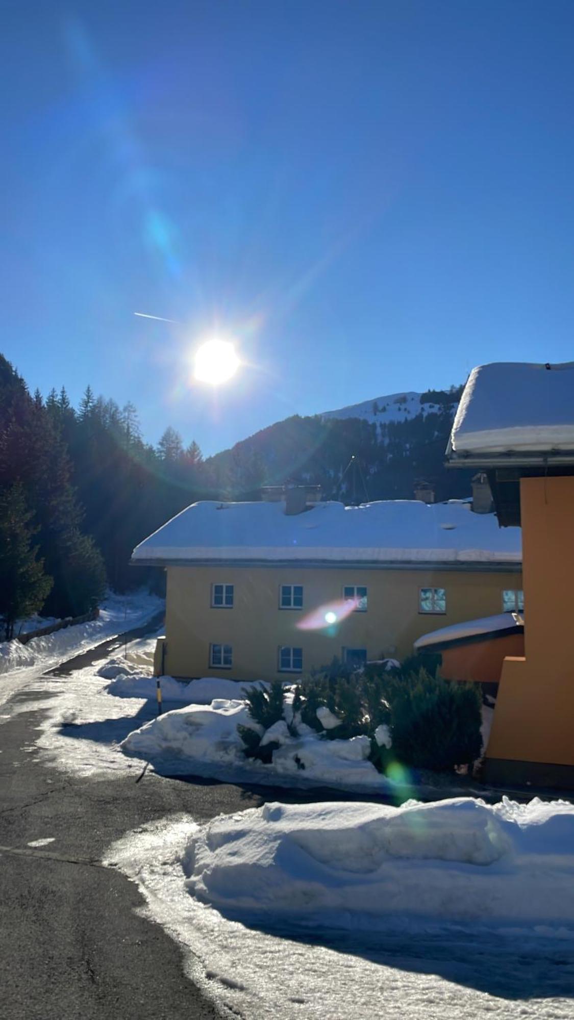 Dalmatiner Apartment
